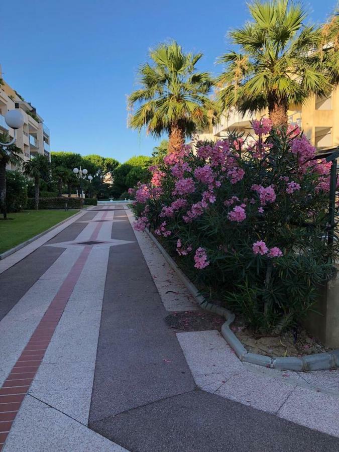Front Beach Luxury Near Nice Airport กาญเนอ-ซูร์-แมร์ ภายนอก รูปภาพ